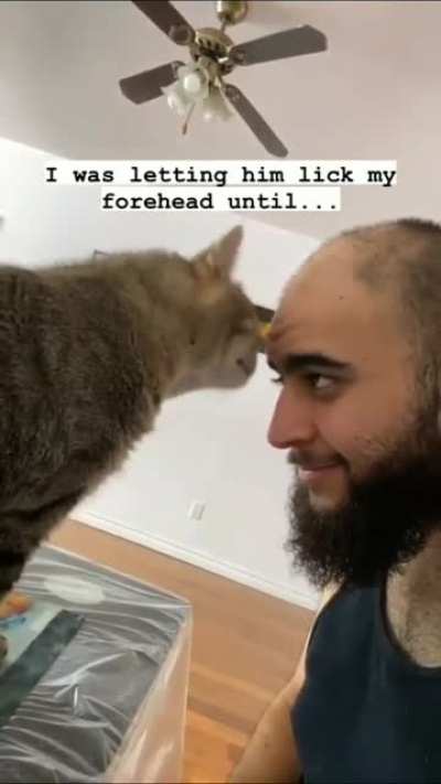 Lick my forehead
