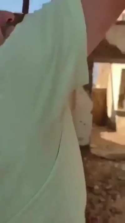 Intacta