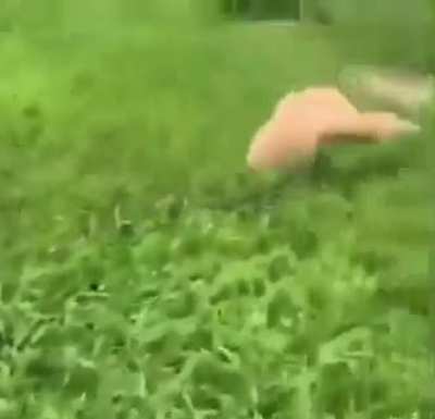 :D