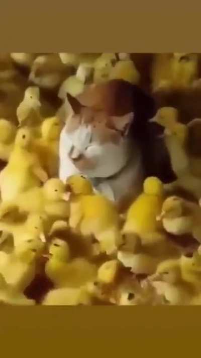 hmm