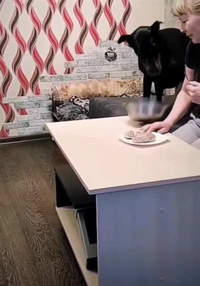 This Is Why We All Should Have A Dog