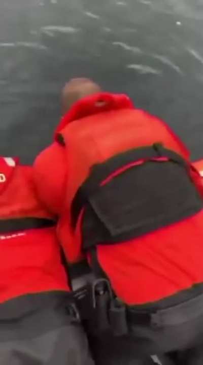Coast Guard returns Deer to it&rsquo;s natural habitat