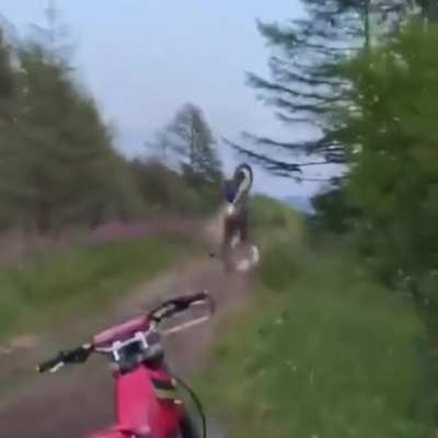 Are Those Motorcycle Parts . . . Or Body Parts?