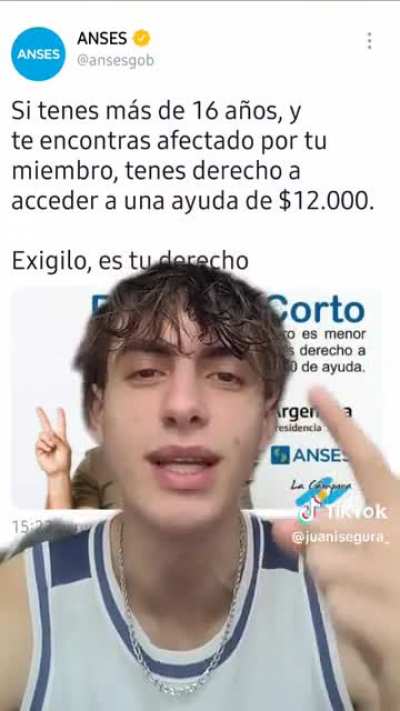 Plan repollito
