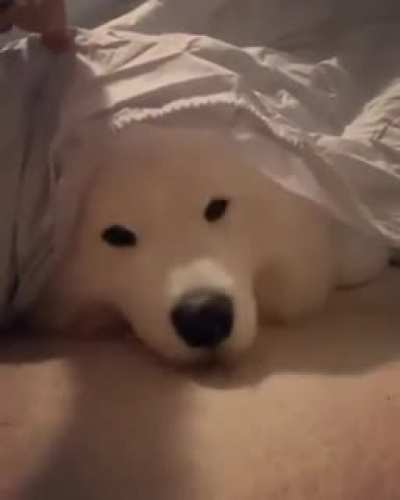 🤗🤗