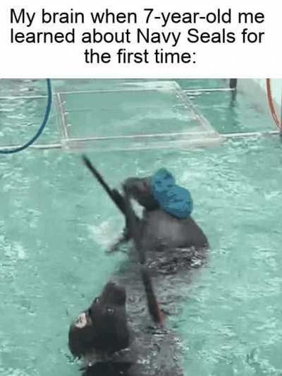 Seal the deal