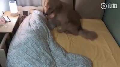 Doesn&rsquo;t matter how big the bed is, the problem will be the same.