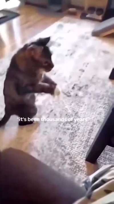 &ldquo;Could it possibly be?&rdquo; ass WUNK