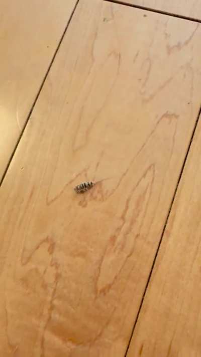 What is this guy?
