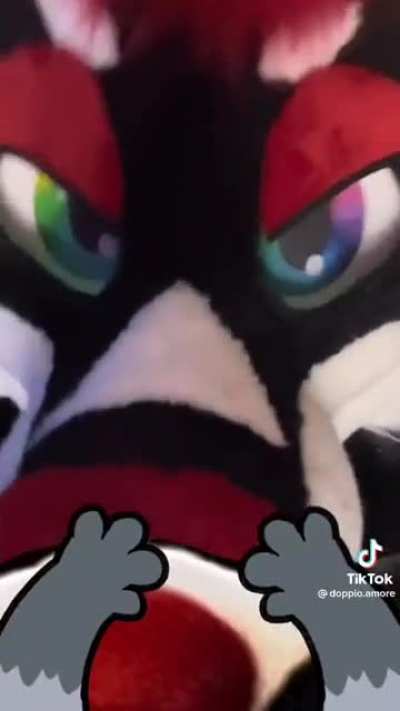 Furry_irl