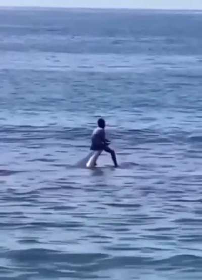Children in Eastern Indonesia were seen playing on a wild whale