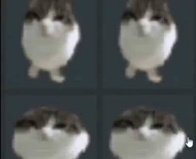 balls cat
