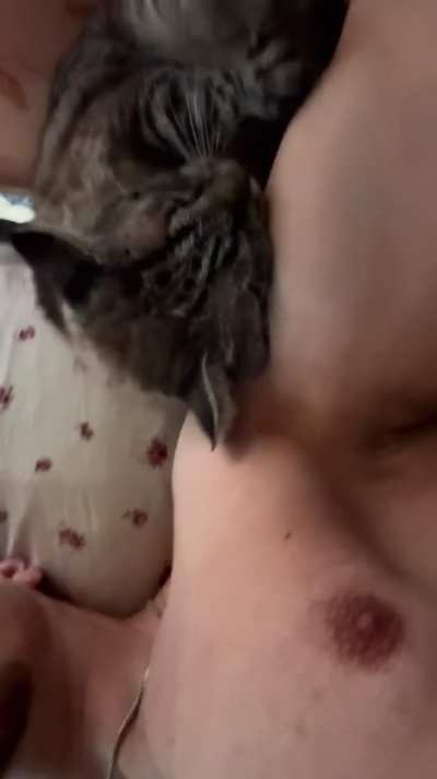 His favorite spot for a quick nap