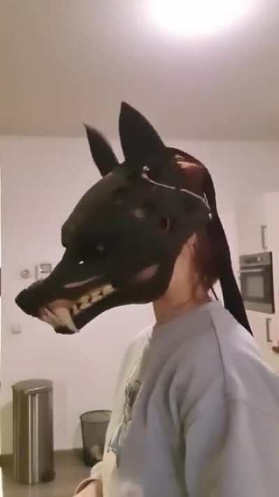 the awesome mask