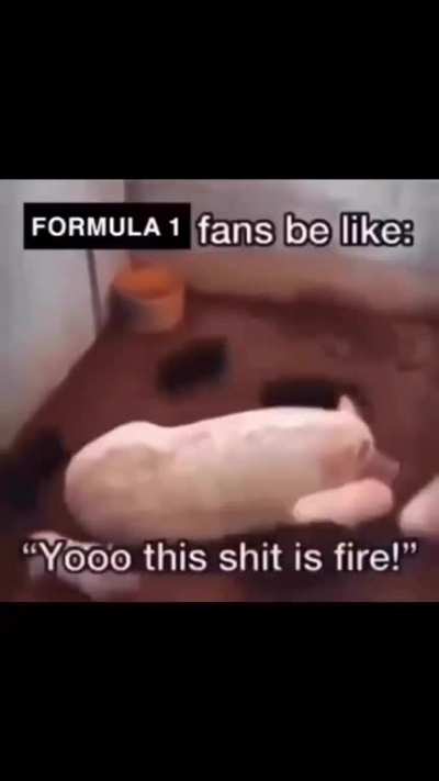 Moldy formula 1