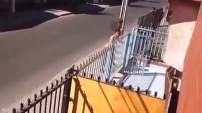 Chileno hablando en su idioma.