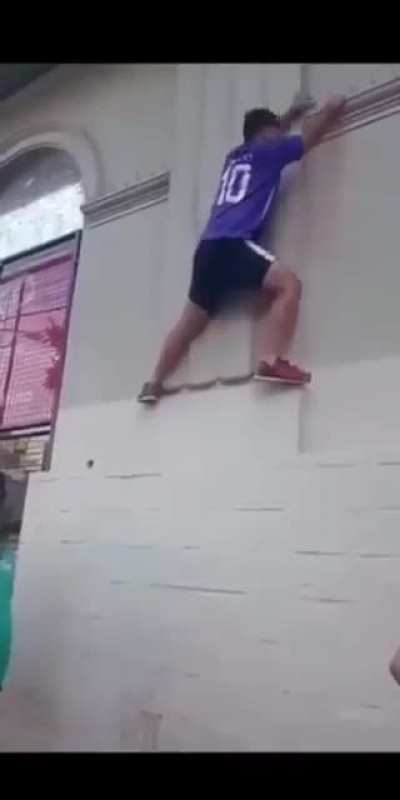 compilado a pedido del publico