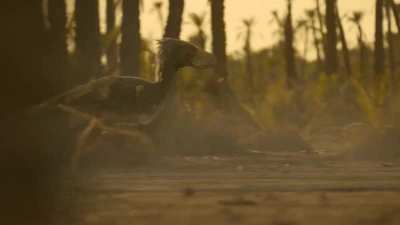 Theropods through Time: Sinraptor (Jurassic) to Phorusracos (Miocene)