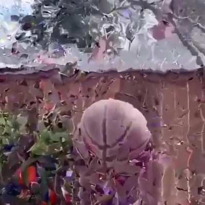 La simulaci&oacute;n est&aacute; fallando