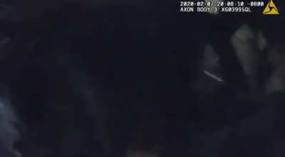 ⚠️WARNING⚠️ NSFL: Bodycam footage shows a police dog in San Jose, CA biting on a man's neck for over a minute after he was suspected of helping his girlfriend steal tequila from a Safeway