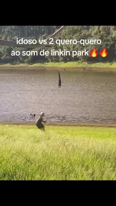 Upzinho para o veio vs quero-quero