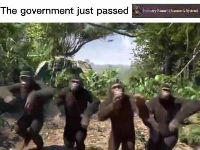 We shall finally return!