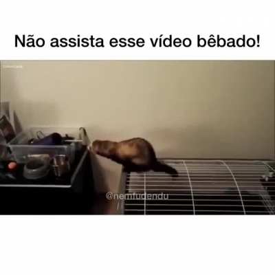 Nova profiss&atilde;o: Anti biologo