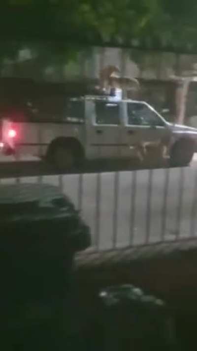 Just a normal night walk in my town