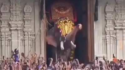 Thechikkottukavu Ramachandran, India's tallest elephant