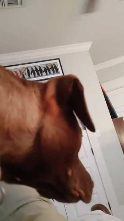 We names her roo because of how she jumps lol