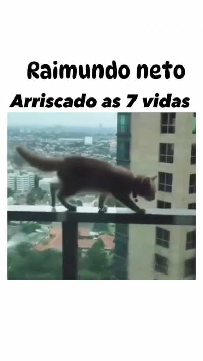 quase vai de babis 