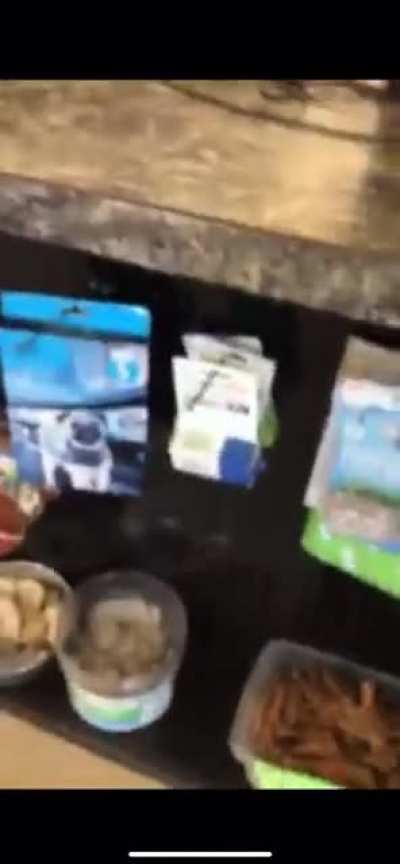 A woman asking for a refund in a pet store gets assaulted and thrown out.