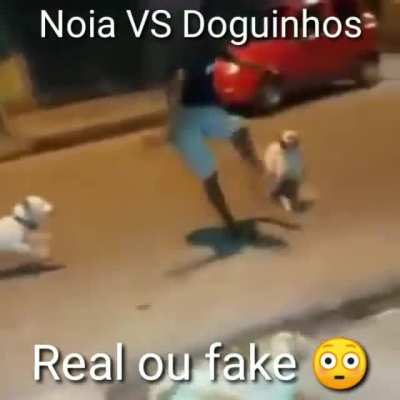 Reporta p&ocirc; ADM por favor quero ganhar
