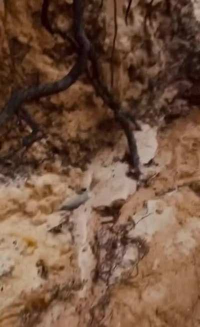 Have you ever had sex on the beach?