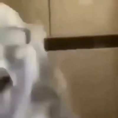 Cursed_milk