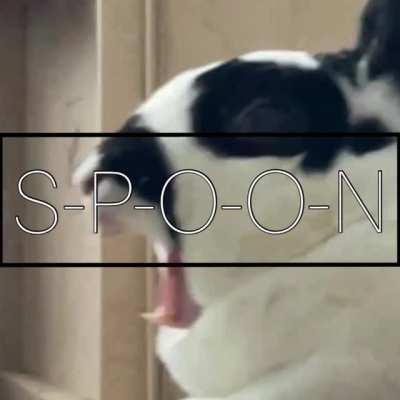 Was singing Spoon’s name while cleaning the enclosure. Thought it was catchy, so I quickly produced a Spoon-track