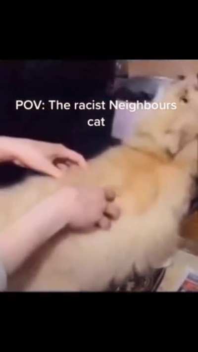 Racist Cat