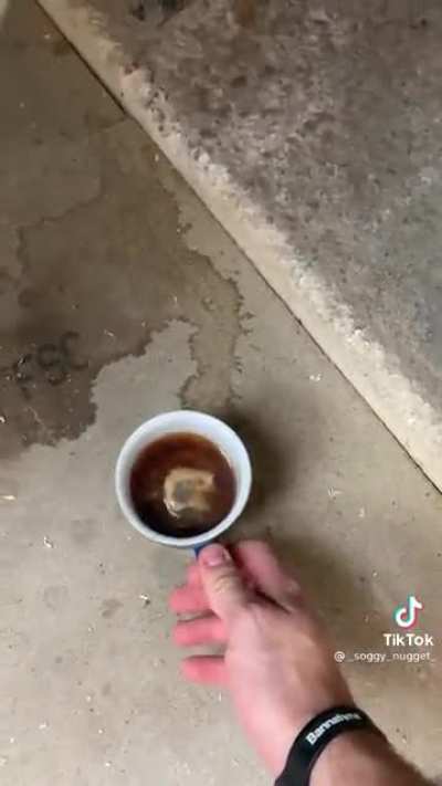 Just making a nice cup of tea