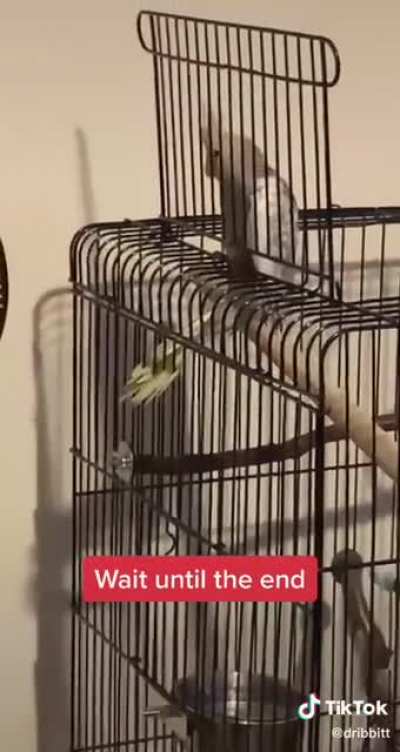 prison break unsuccessful
