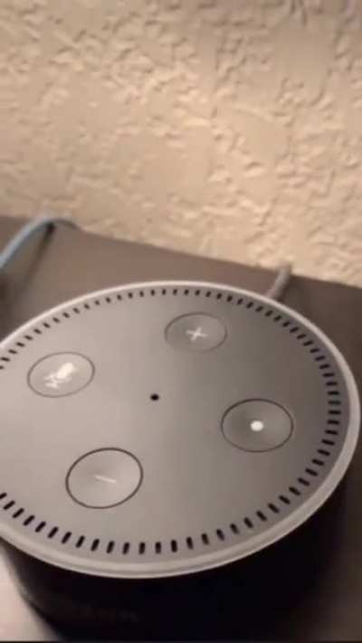 Thanks I hate Alexa