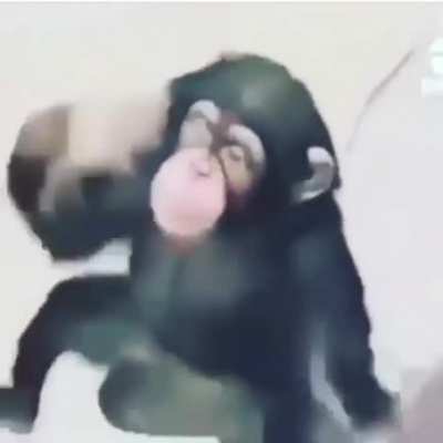 monke