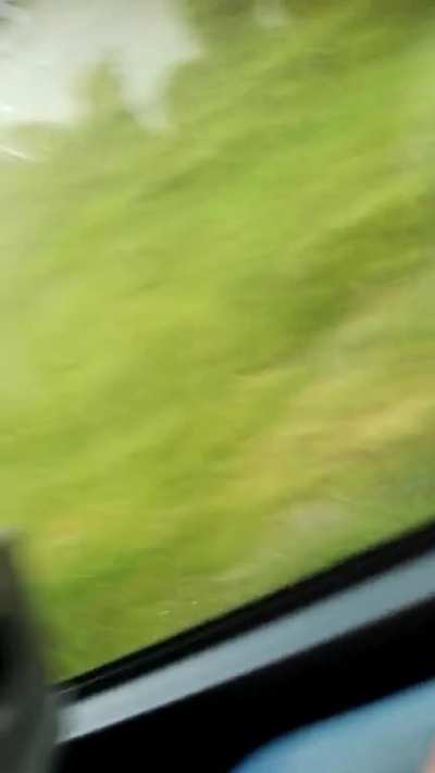 fun in the bus