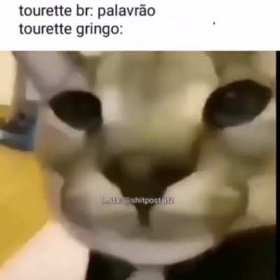 tourette do zap