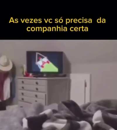 Fofo 