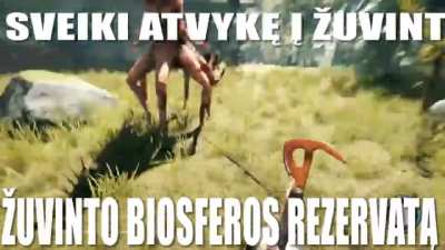 Zuvintas