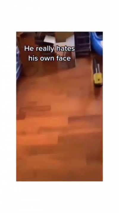 This cat HATES his face