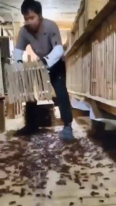 footage of me preparing a flat for my new rentoid 🤩