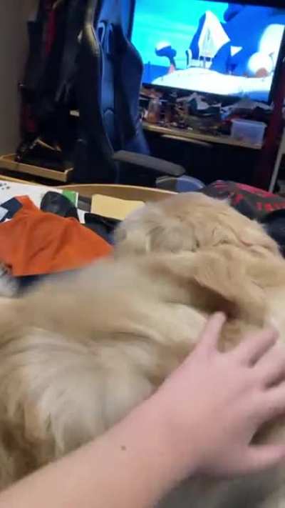 &ldquo;Puppy eats boys toes&rdquo;