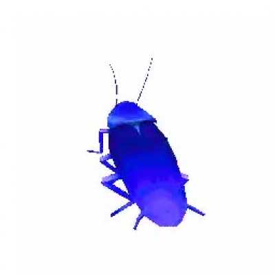 Download gif here