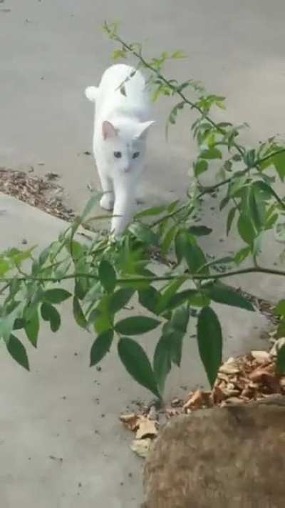 He has much to say
